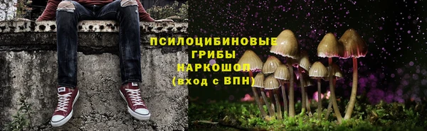 трава Бронницы